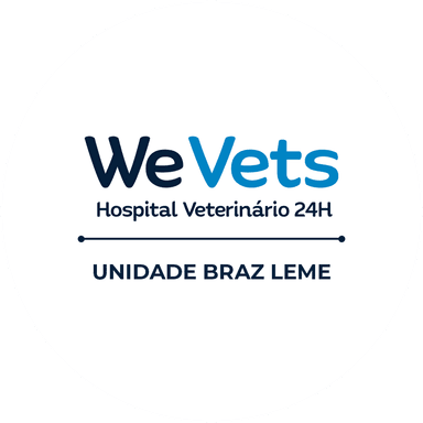 Client Logo 13